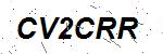 CAPTCHA verification image containing distorted text characters