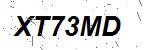 CAPTCHA verification image containing distorted text characters