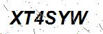 CAPTCHA verification image containing distorted text characters