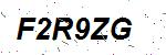 CAPTCHA verification image containing distorted text characters