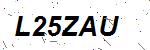CAPTCHA verification image containing distorted text characters
