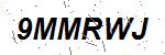 CAPTCHA verification image containing distorted text characters