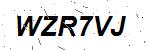 CAPTCHA verification image containing distorted text characters