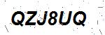 CAPTCHA verification image containing distorted text characters