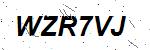 CAPTCHA verification image containing distorted text characters
