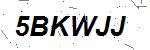 CAPTCHA verification image containing distorted text characters
