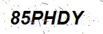 CAPTCHA verification image containing distorted text characters