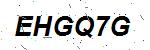 CAPTCHA verification image containing distorted text characters