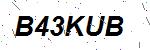 CAPTCHA verification image containing distorted text characters