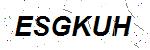 CAPTCHA verification image containing distorted text characters