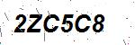 CAPTCHA verification image containing distorted text characters