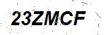 CAPTCHA verification image containing distorted text characters