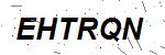 CAPTCHA verification image containing distorted text characters