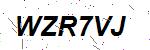 CAPTCHA verification image containing distorted text characters