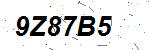 CAPTCHA verification image containing distorted text characters
