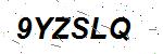 CAPTCHA verification image containing distorted text characters