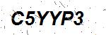 CAPTCHA verification image containing distorted text characters