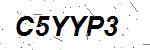 CAPTCHA verification image containing distorted text characters