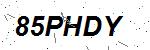 CAPTCHA verification image containing distorted text characters