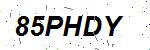 CAPTCHA verification image containing distorted text characters
