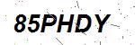 CAPTCHA verification image containing distorted text characters