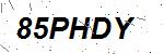 CAPTCHA verification image containing distorted text characters