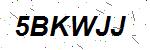 CAPTCHA verification image containing distorted text characters