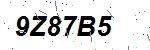 CAPTCHA verification image containing distorted text characters