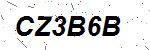CAPTCHA verification image containing distorted text characters
