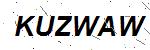 CAPTCHA verification image containing distorted text characters