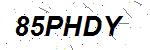 CAPTCHA verification image containing distorted text characters