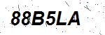 CAPTCHA verification image containing distorted text characters