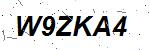 CAPTCHA verification image containing distorted text characters
