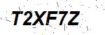 CAPTCHA verification image containing distorted text characters