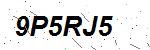 CAPTCHA verification image containing distorted text characters