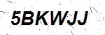 CAPTCHA verification image containing distorted text characters