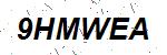 CAPTCHA verification image containing distorted text characters