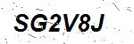 CAPTCHA verification image containing distorted text characters