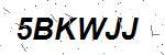 CAPTCHA verification image containing distorted text characters