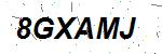 CAPTCHA verification image containing distorted text characters