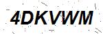 CAPTCHA verification image containing distorted text characters
