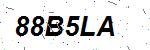 CAPTCHA verification image containing distorted text characters