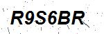 CAPTCHA verification image containing distorted text characters