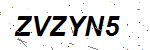 CAPTCHA verification image containing distorted text characters