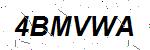 CAPTCHA verification image containing distorted text characters