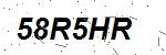 CAPTCHA verification image containing distorted text characters