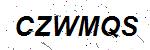 CAPTCHA verification image containing distorted text characters