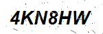 CAPTCHA verification image containing distorted text characters