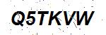 CAPTCHA verification image containing distorted text characters