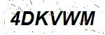 CAPTCHA verification image containing distorted text characters